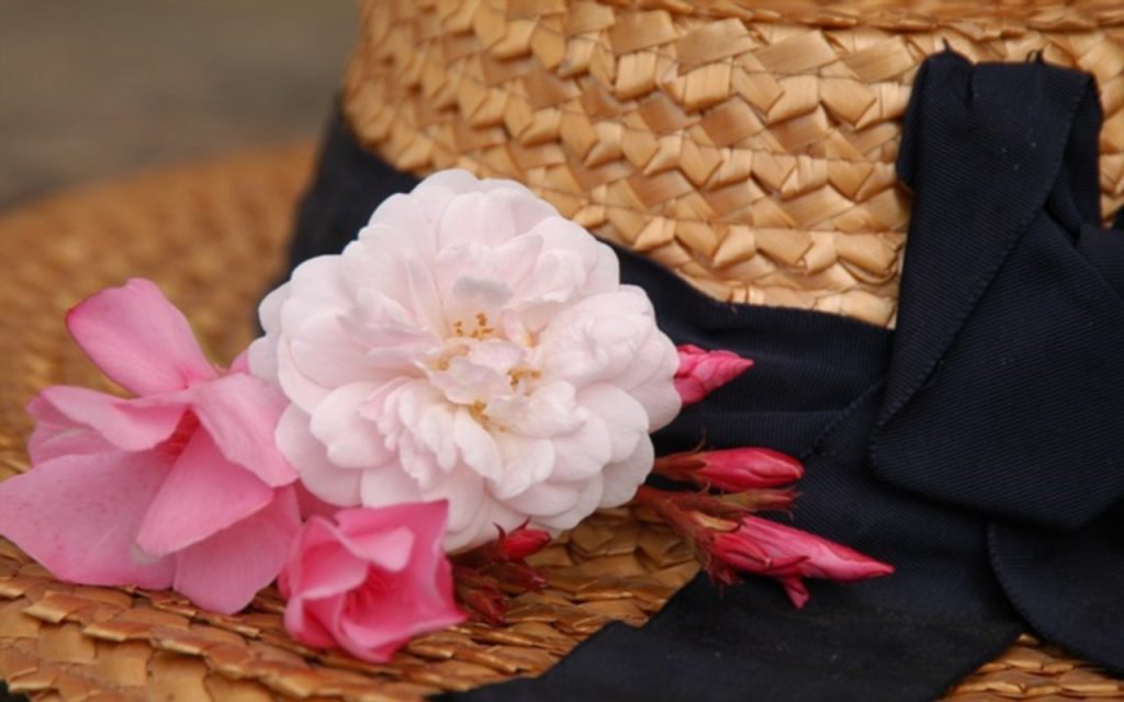 creer-un-jardin-harmonieux-guide-pour-integrer-plantes-et-decor